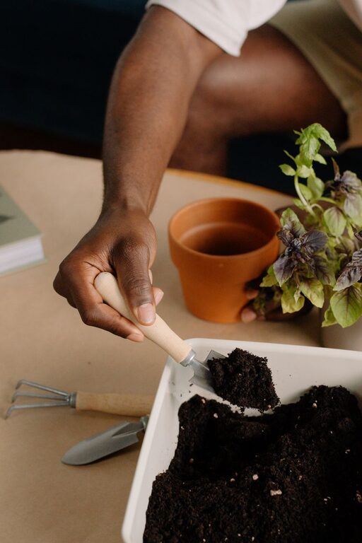 How to Start a Small Herb Garden Indoors Easily